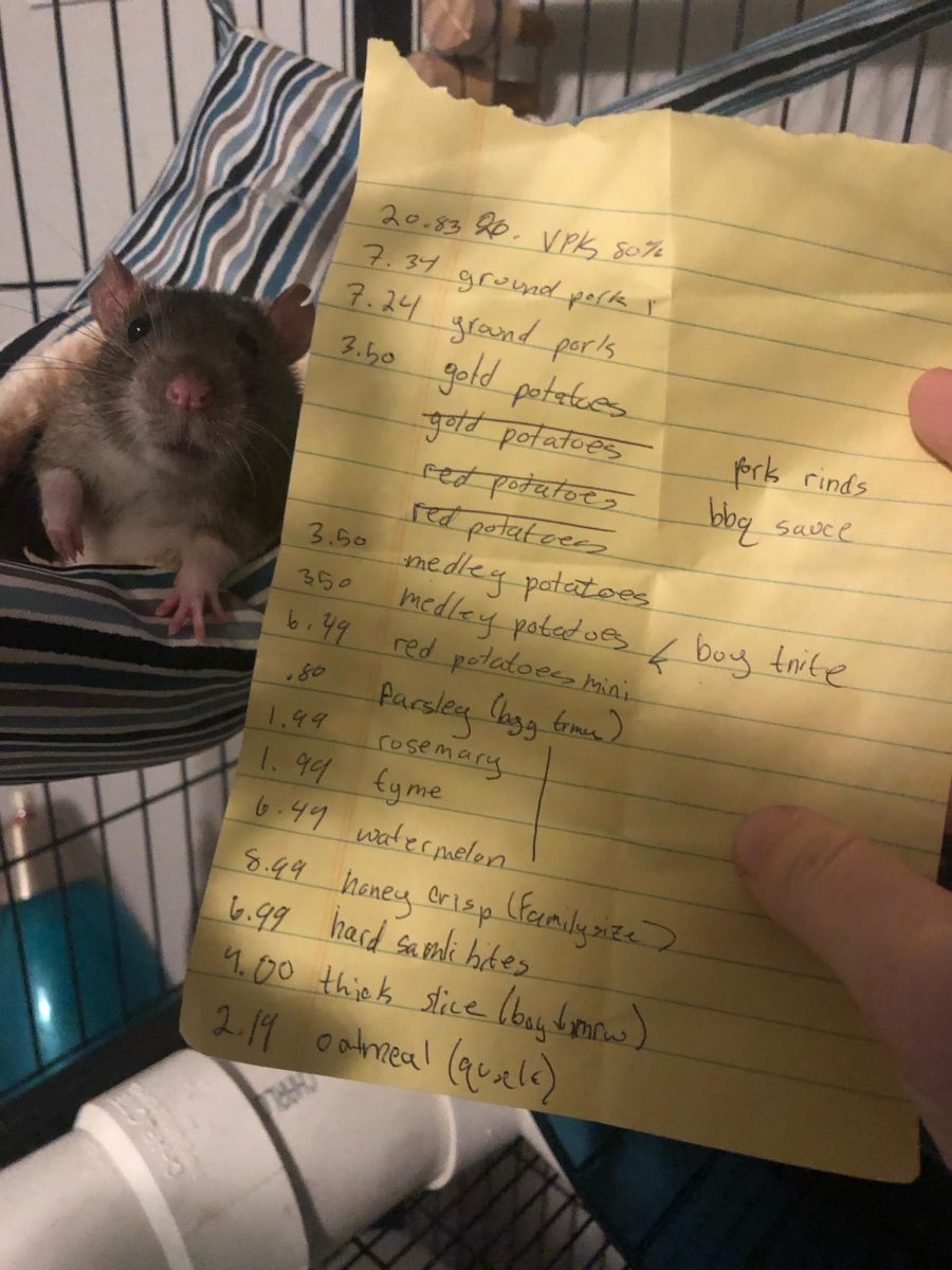 Toenail Clippers and my shopping list.