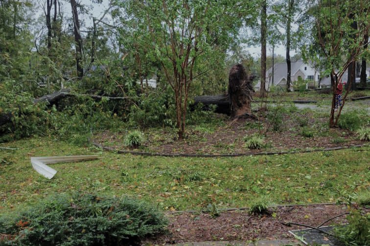 Disaster strikes: Many trees have fallen in Augusta, Georgia leading to extreme amounts of damage.