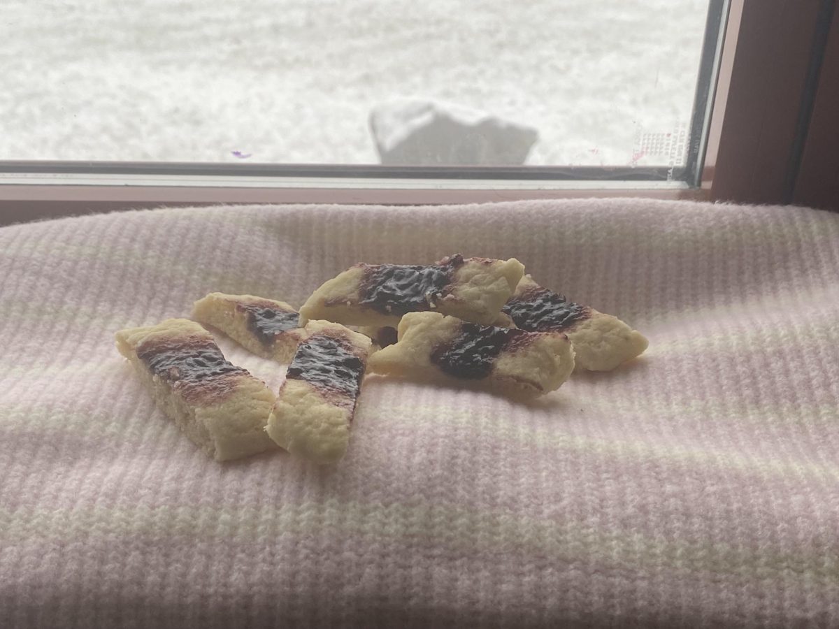 Laura's Raspberry Jam cookies are the perfect treat for the snowy backdrop. 